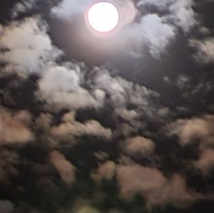 Meet your Posher, Sydney